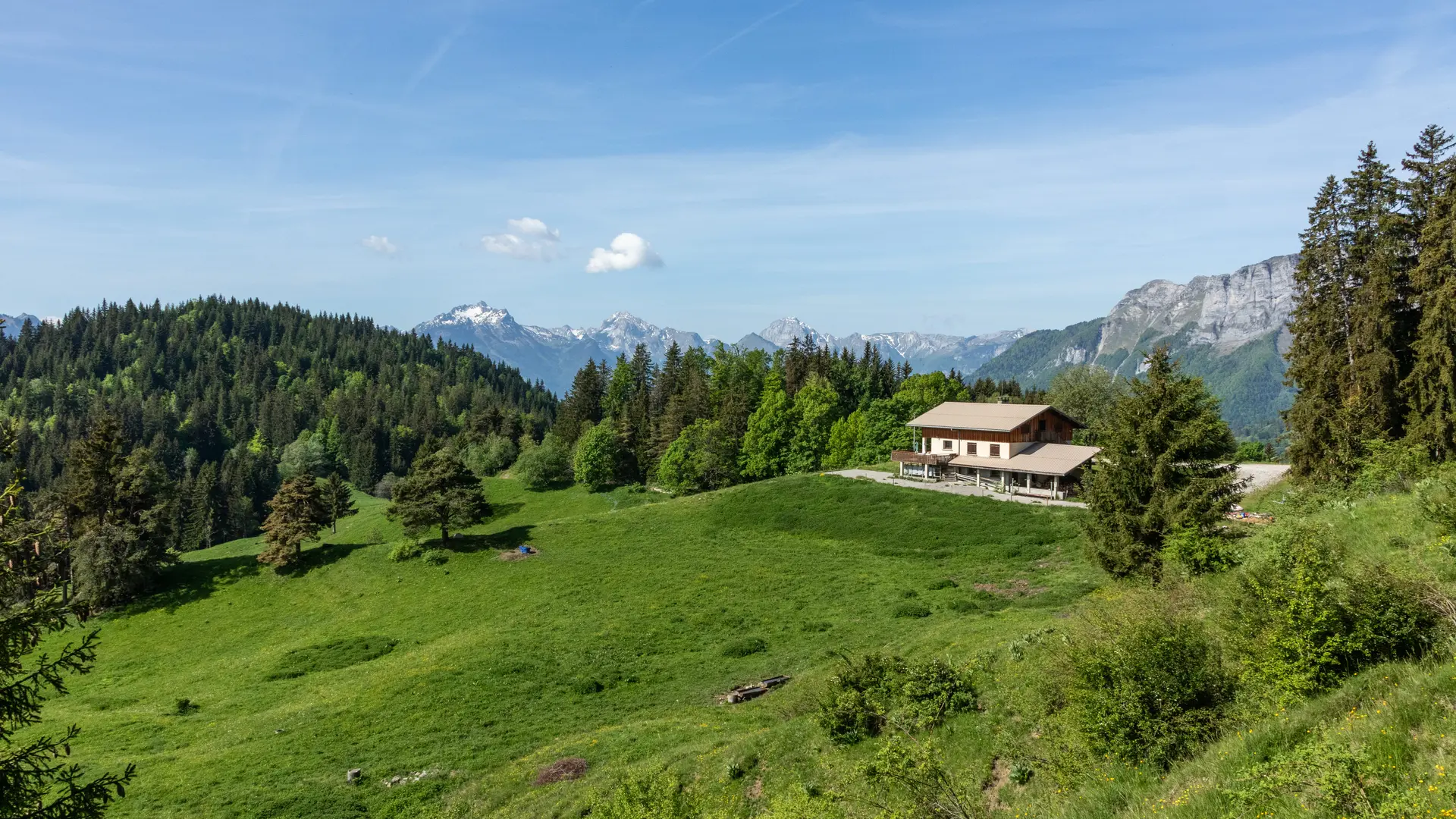 panorama