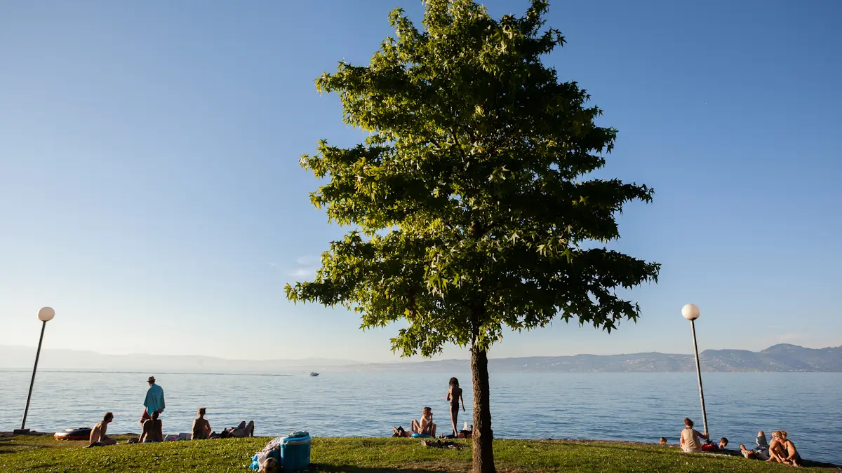 Plage de Vindry_Lugrin