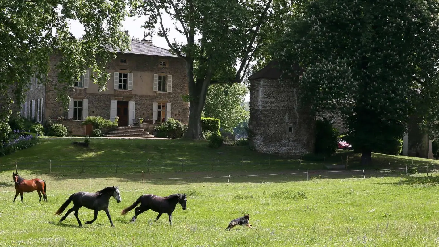 Un domaine ou il fait bon vivre...