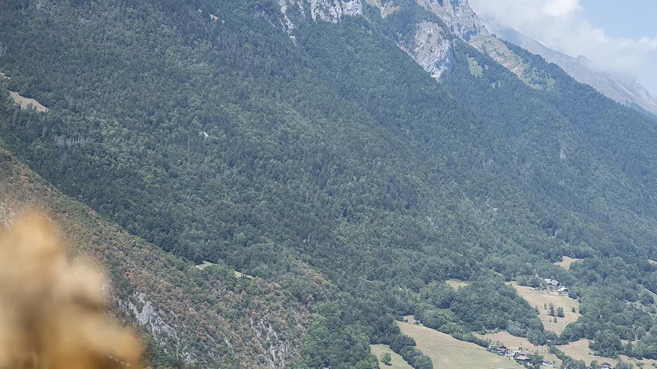 Marche nordique #3 Faverges-Seythenex - Les balcons des Combes_Faverges-Seythenex