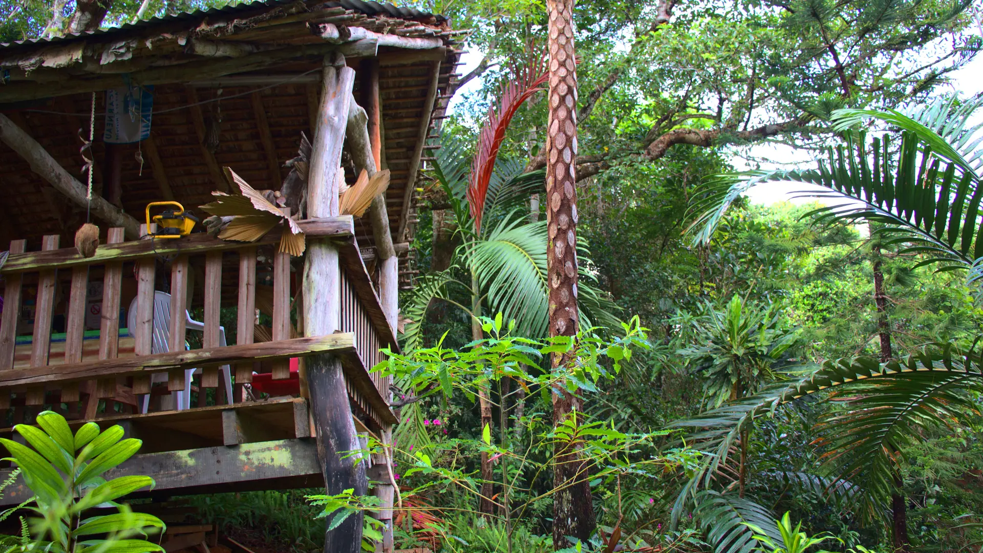 Guest table, forest, landscape, Poya