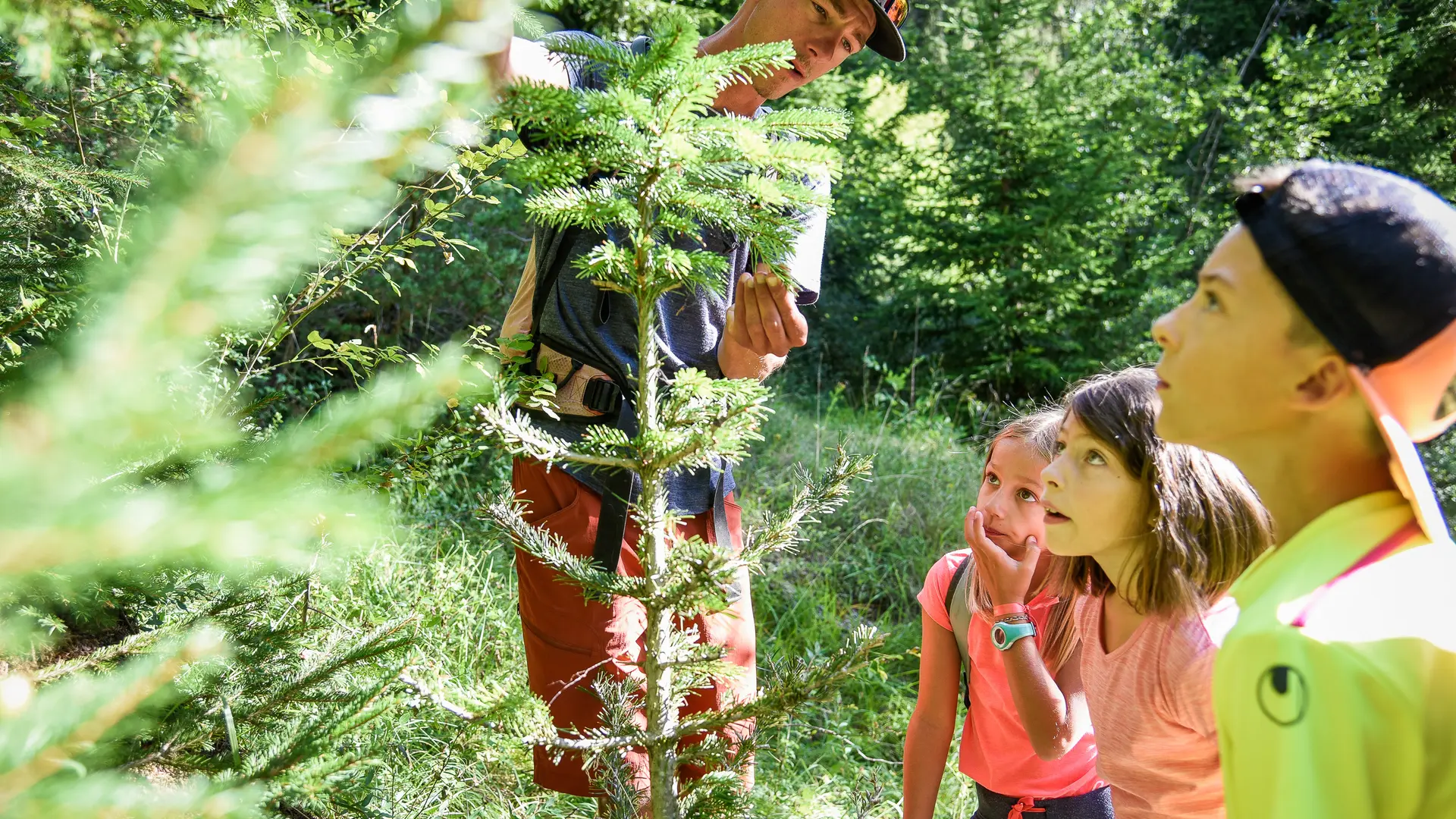 sentier de la forêt 6