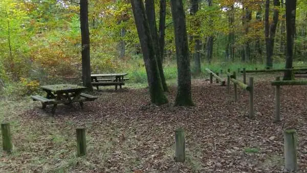 Aire de Pique nique La Garde Forêt de Lespinasse