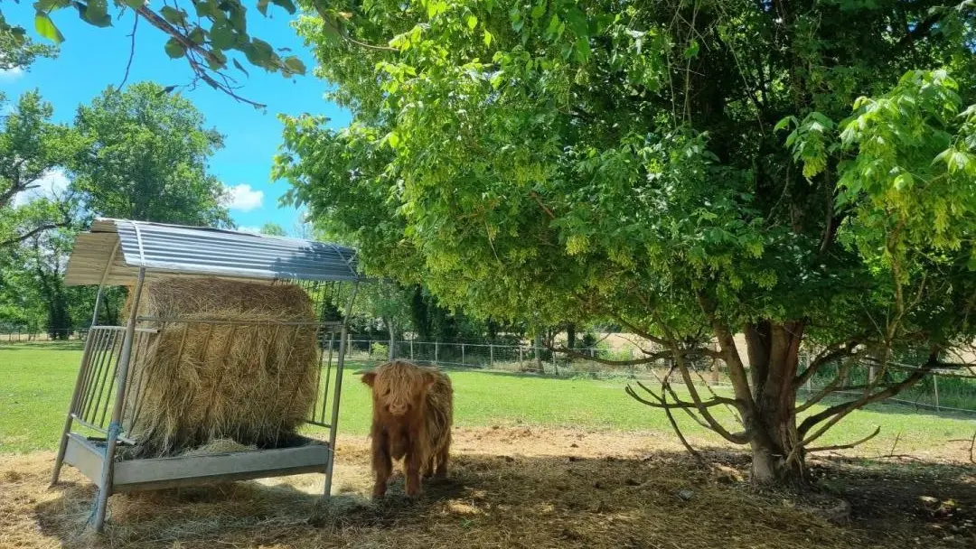 La mini-ferme d'Audrey & Pascal.