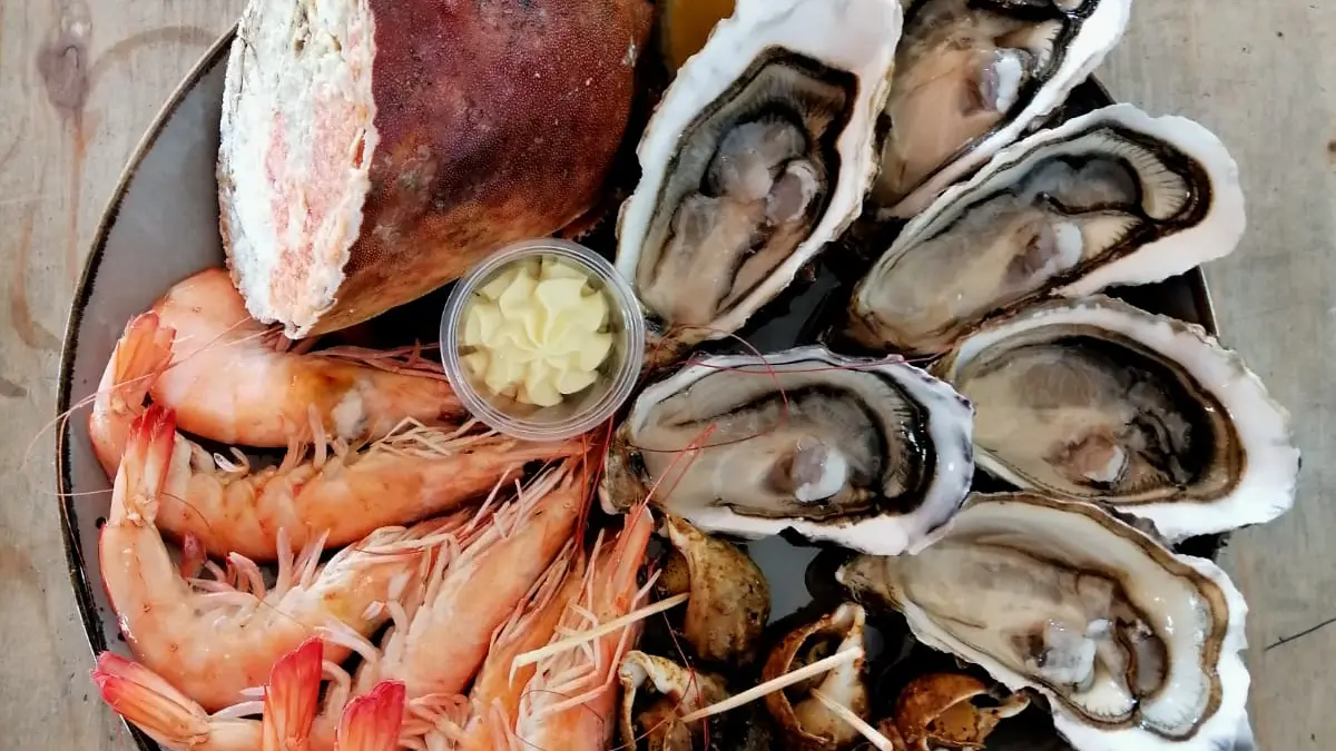 Nos assiettes