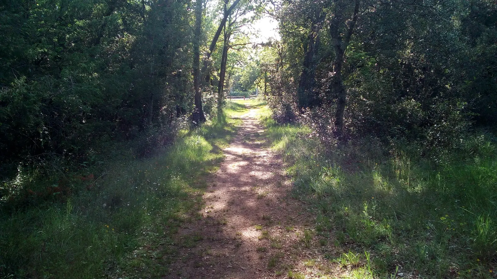 Sortie du parcours de santé le Claou