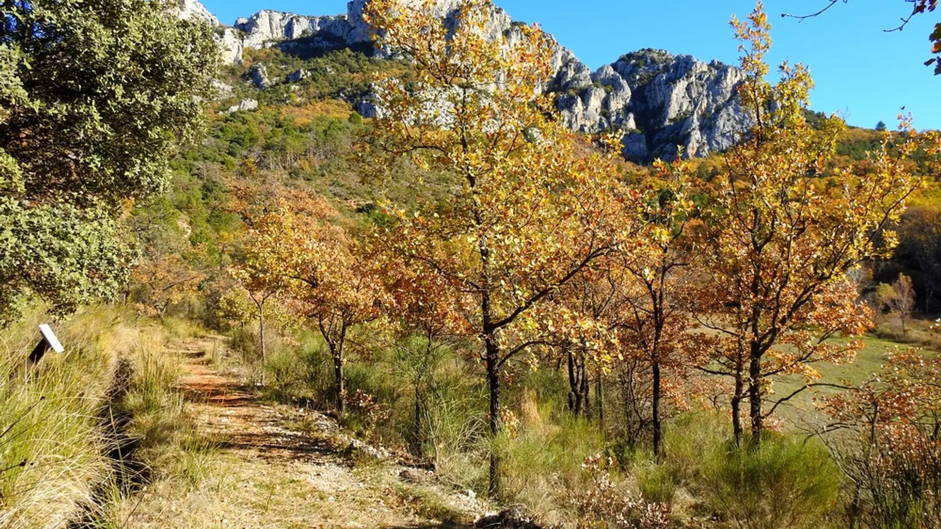 Couleurs de l'automne