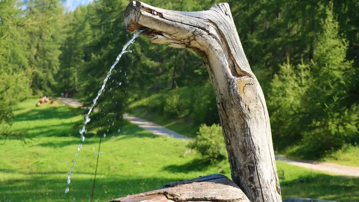 Bergerie Gautier Fontaine