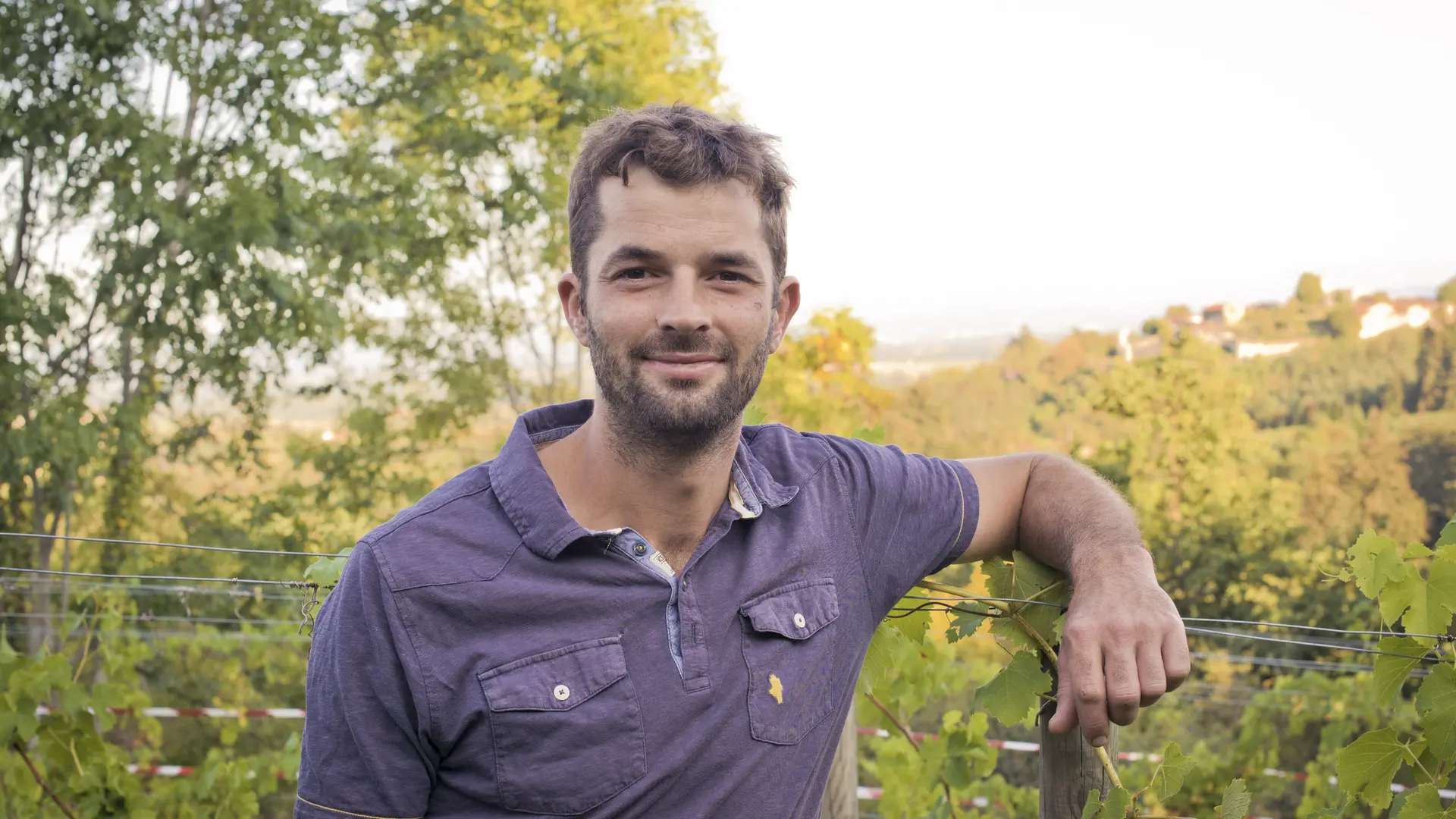 Domaine des Ardaillons