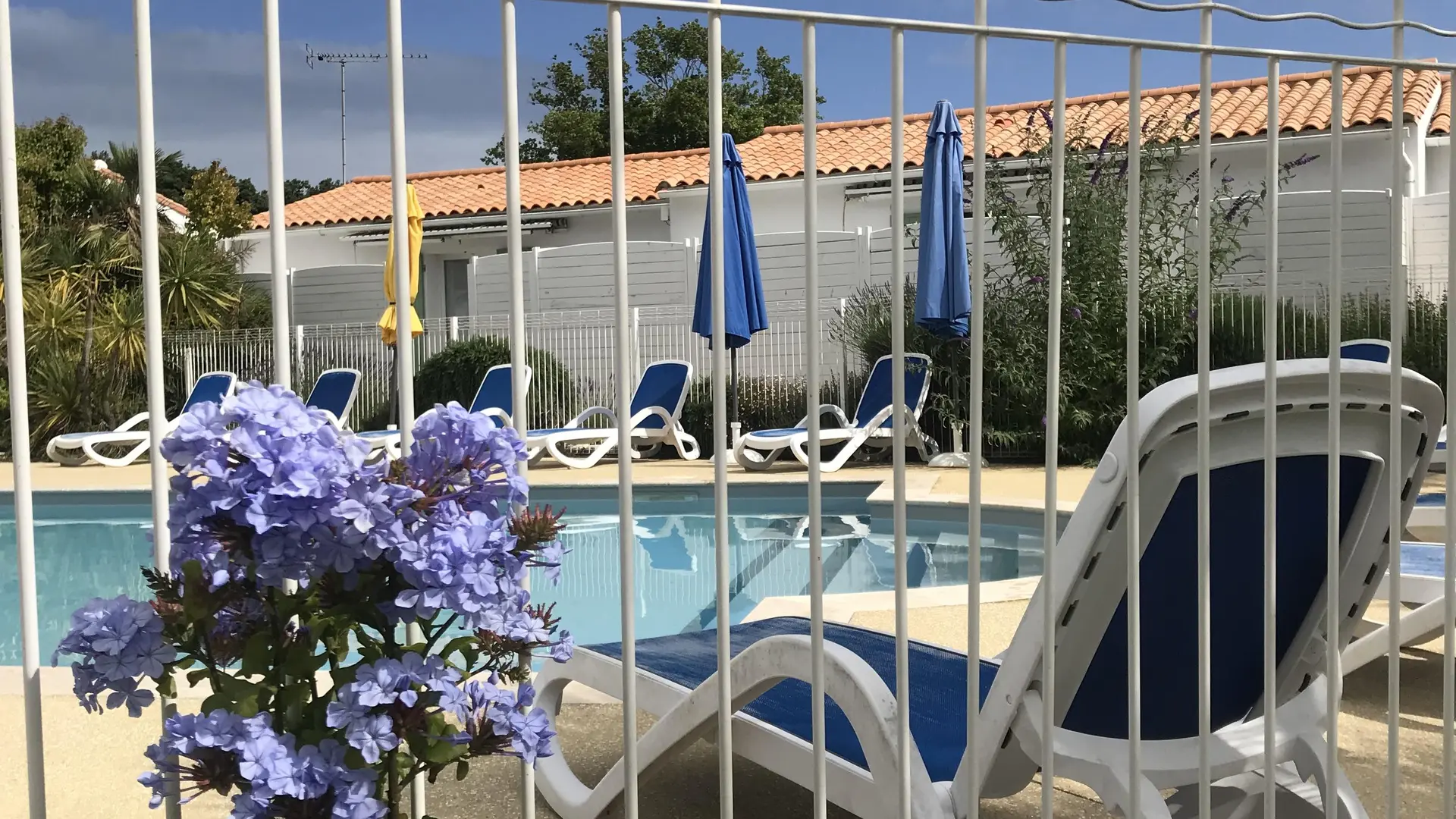 Schwimmbad und Liegestuhl