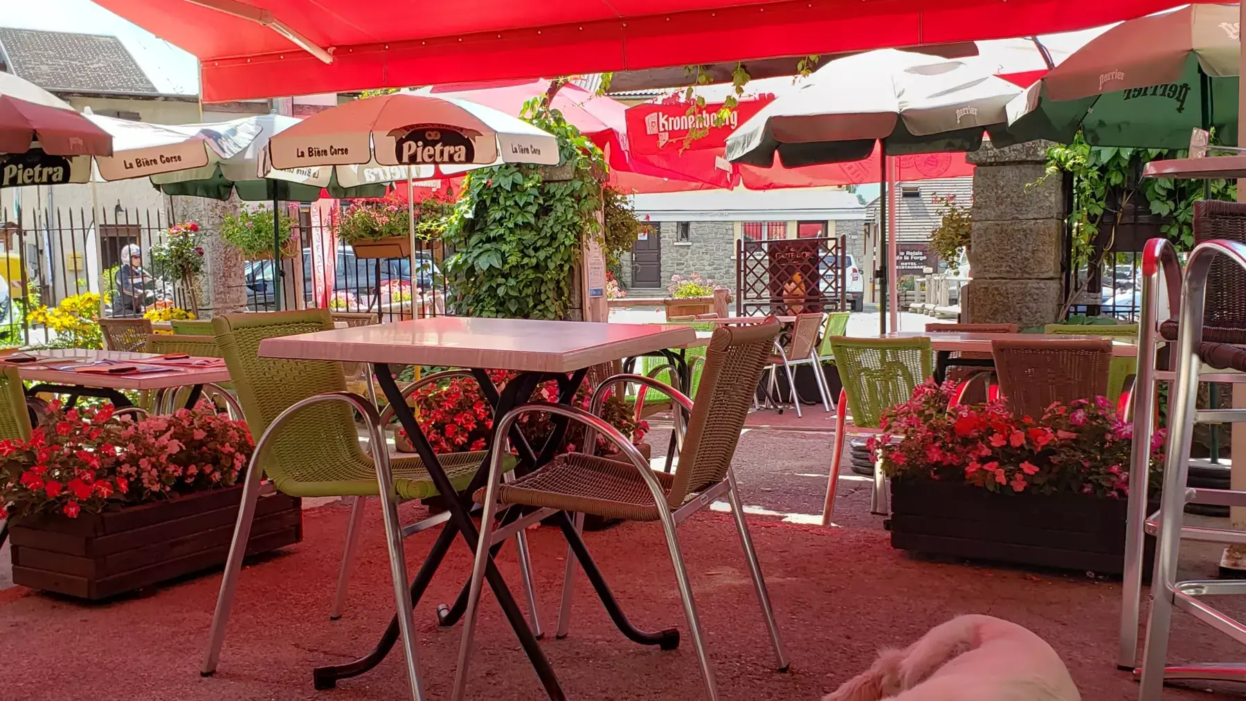 Terrasse restaurant Selonnet