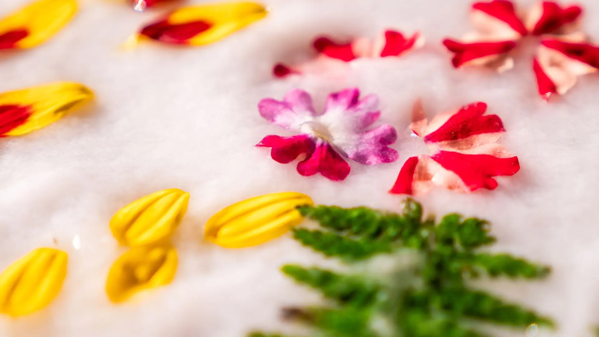 Composition florale