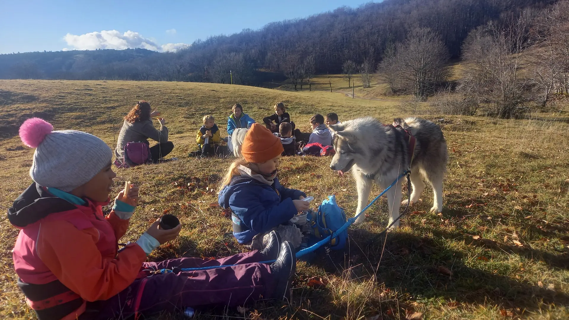 Balade tractée par les chiens avec Lisa Plaza