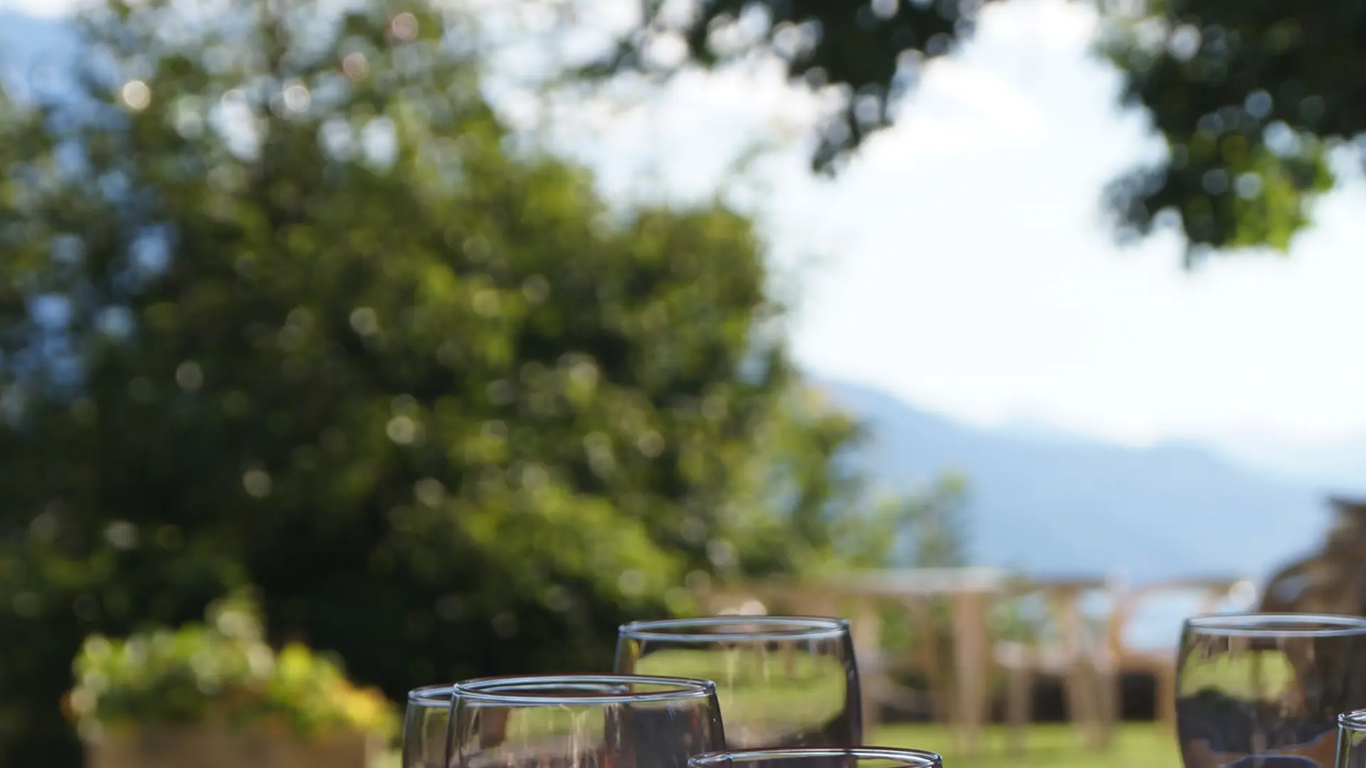 Repas en terrasse - Auberge la Grande Ferme SAINT-ANDRÉ D'EMBRUN