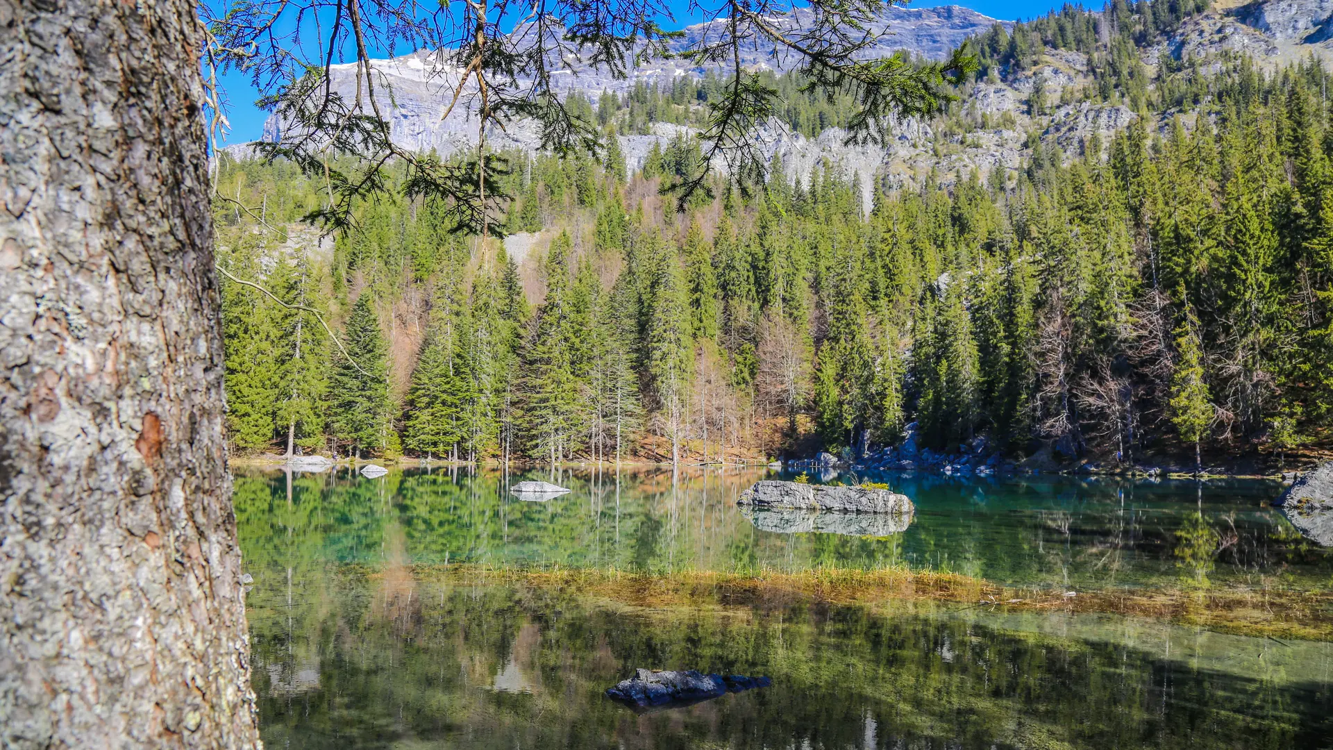 Lac vert - vue sur les fiz