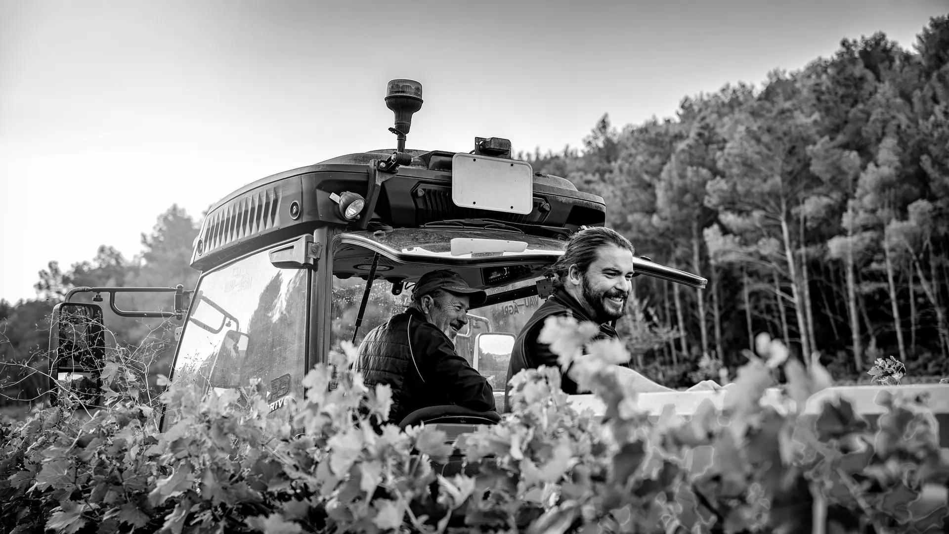 Domaine d'Eole in Eygalières winegrowers  in a tractor