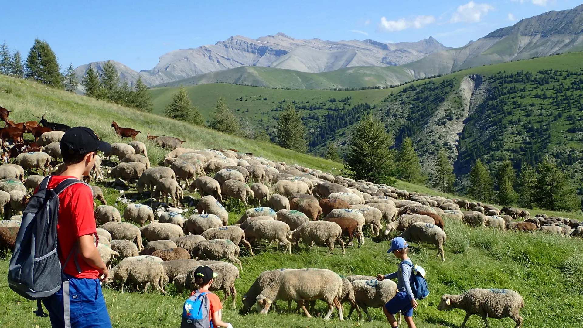 Séjour Davy Crockett en Haute Bléone