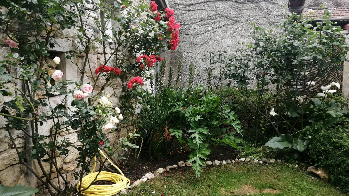 les rosiers
