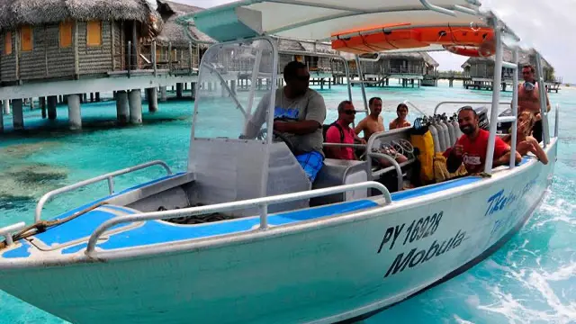 Tuamotu Plongée - Tikehau Plongée