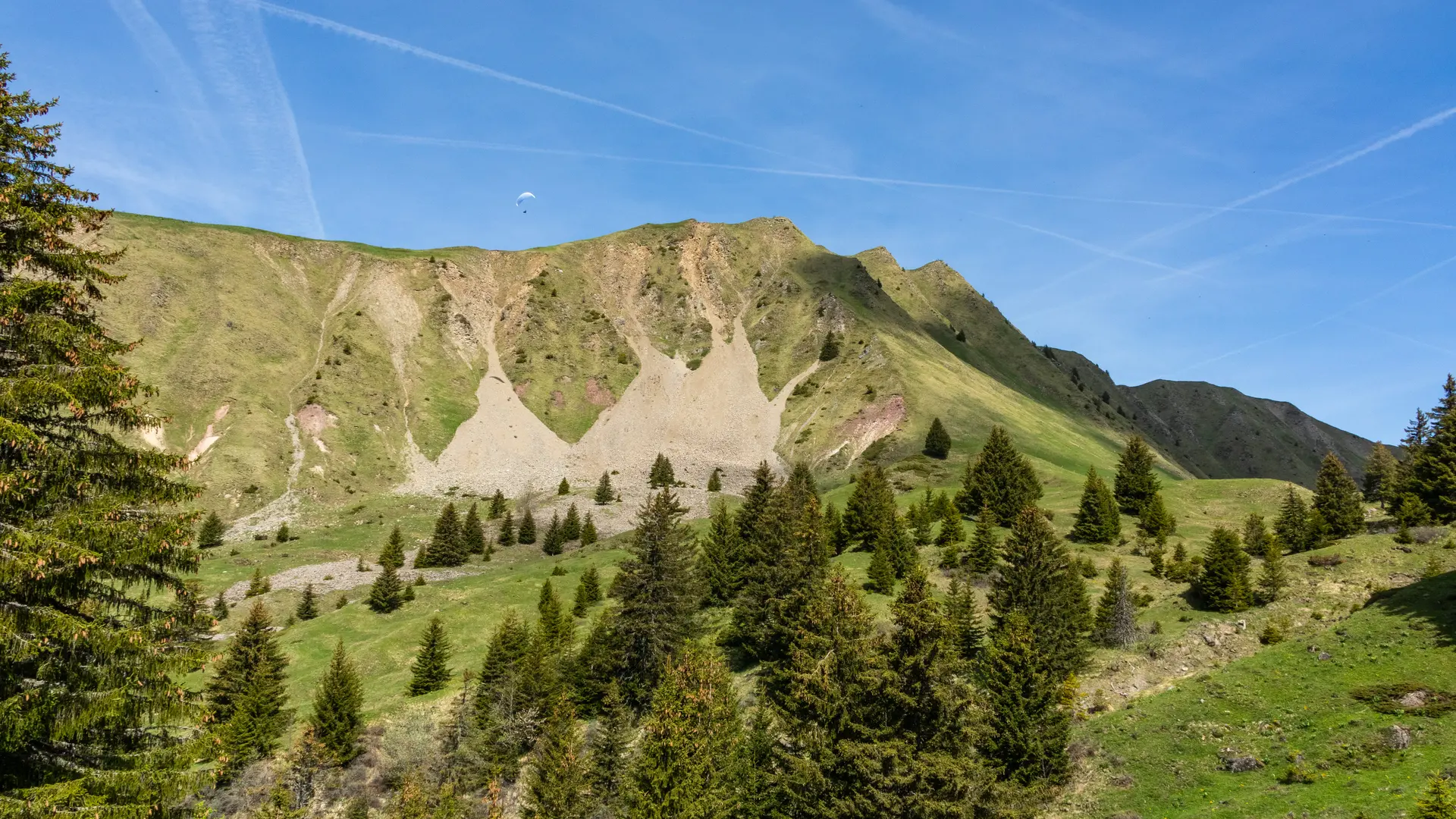 sulens