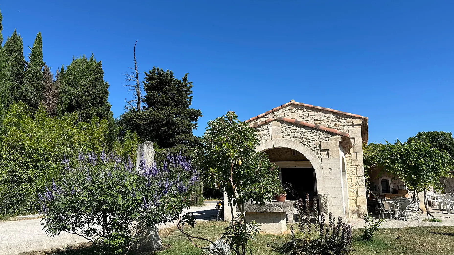 Camping Parc de la Bastide_Saint-Rémy-de-Provence