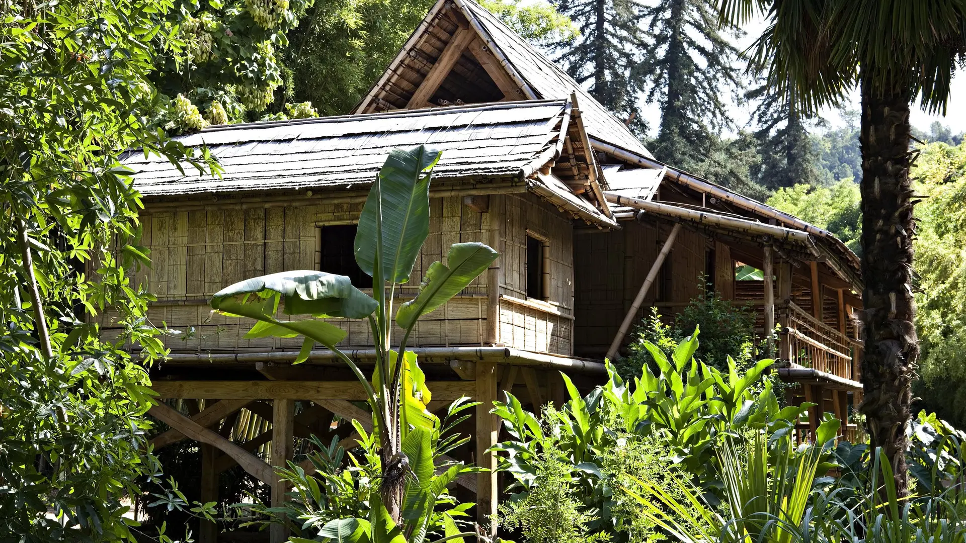 Village Laotien - Bambouseraie en Cévennes