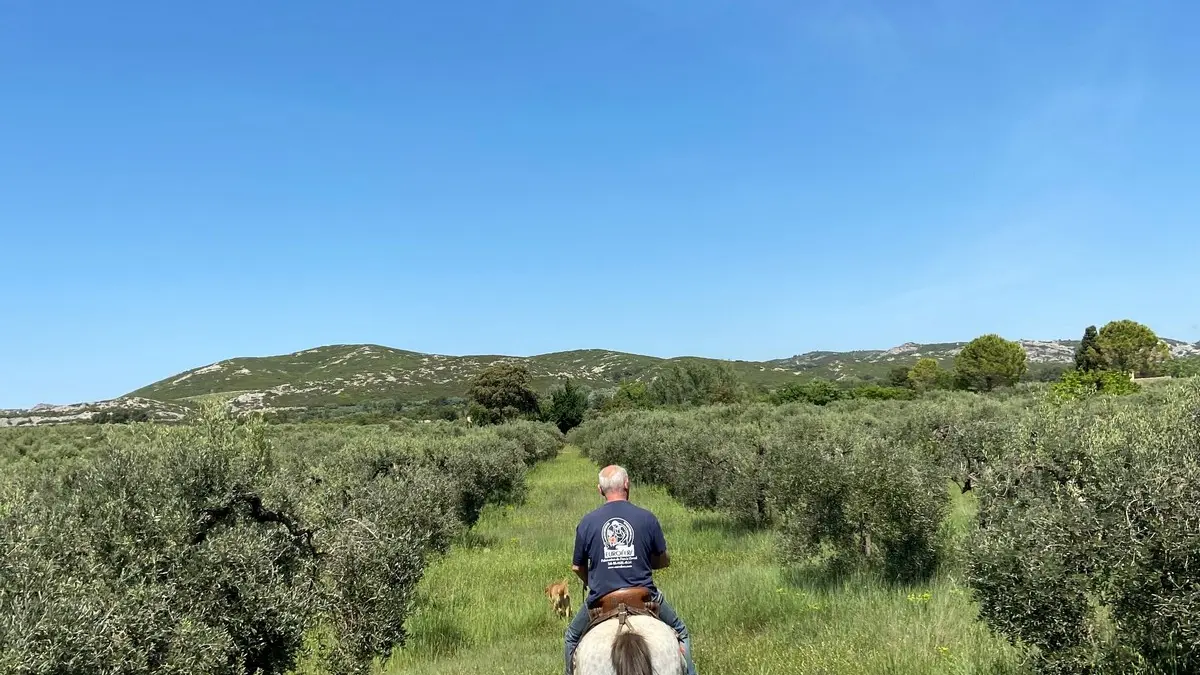 Les Écuries des Hauts de Mouriès