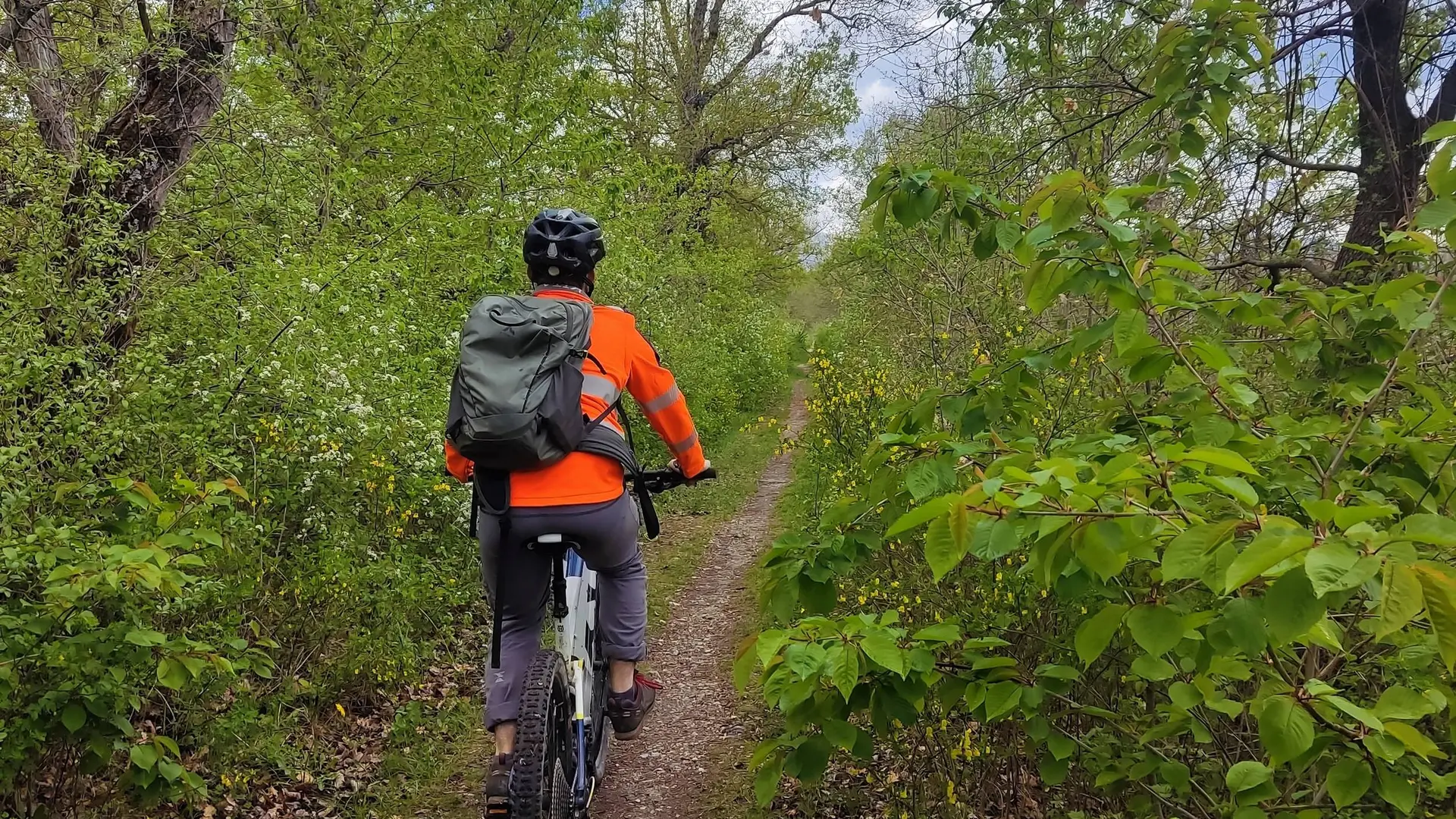 Agréable petit sentier longeant le Buëch