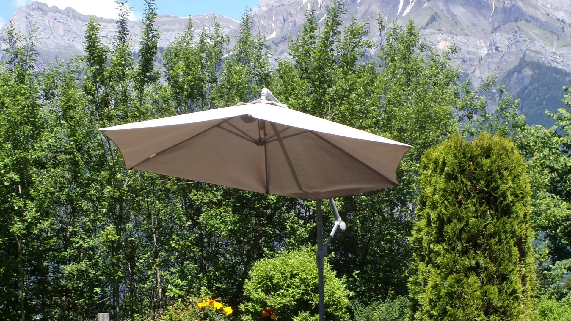 Jardin terrasse