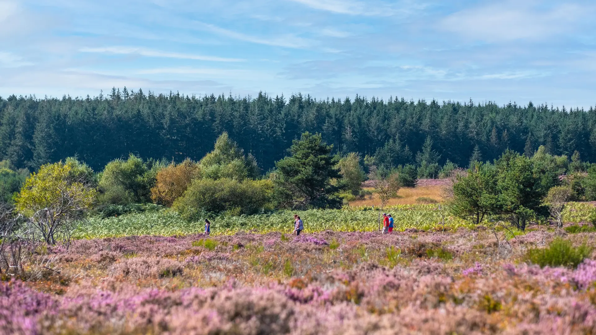 Plateau de la Verrerie à Saint-Nicolas-des-Biefs