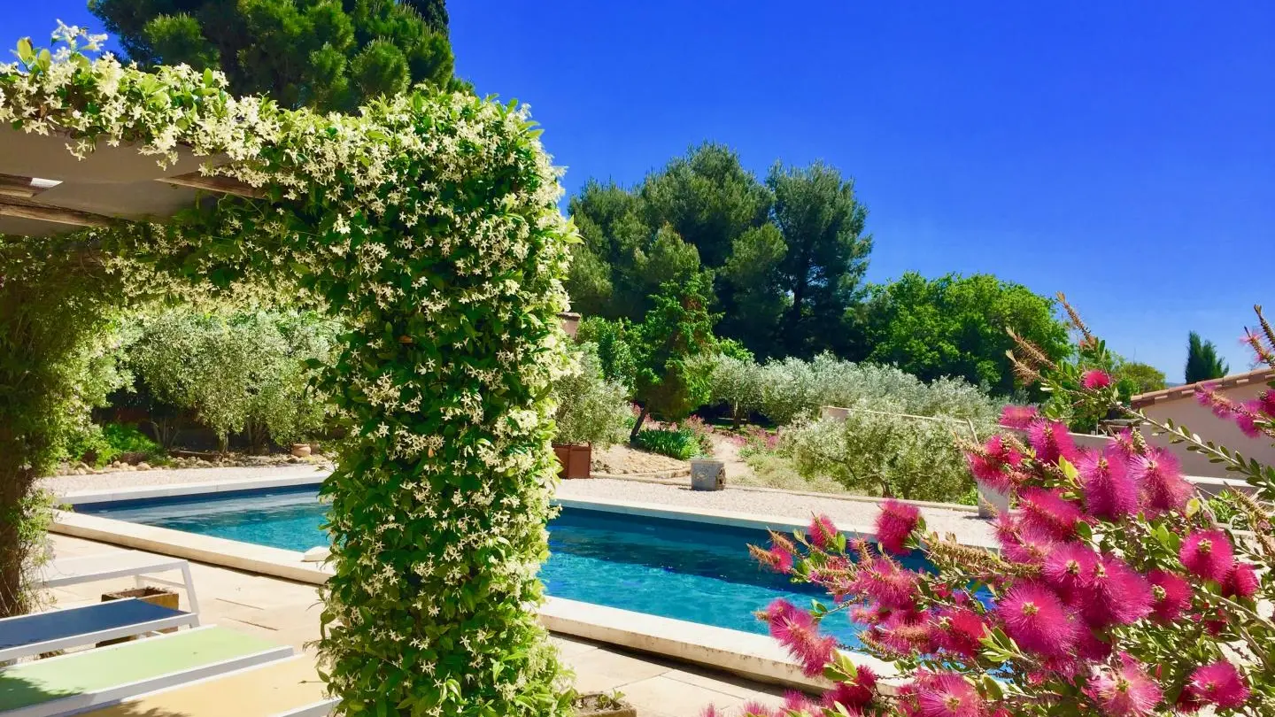 PISCINE AU PRINTEMPS