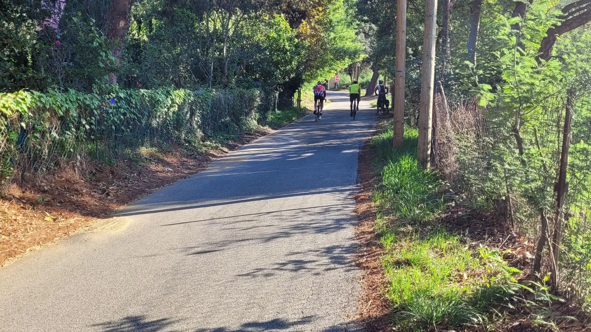 Plusieurs cyclistes roulant sur une portion de la piste cyclable