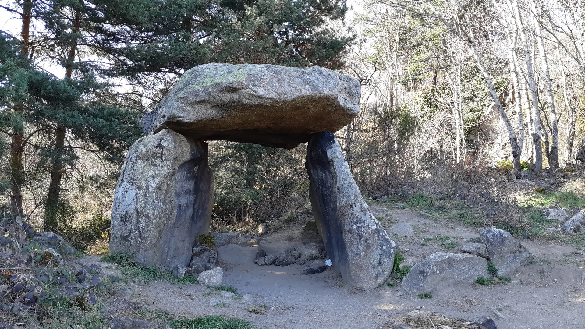 Dolmen de Roche-Cubertelle à Luriecq (42380)