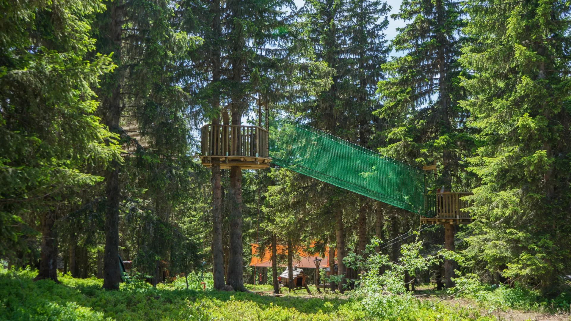 Une espace forestier magnifique et préservé