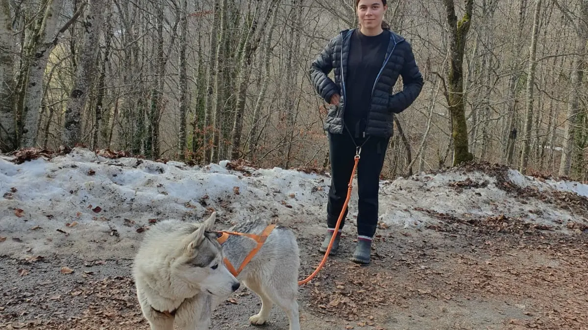 Balade tractée par les chiens avec Lisa Plaza