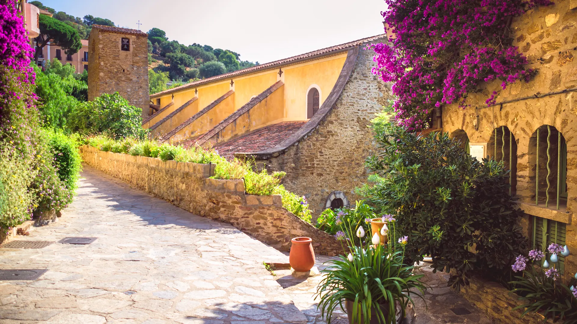 rue des bougainvilliers