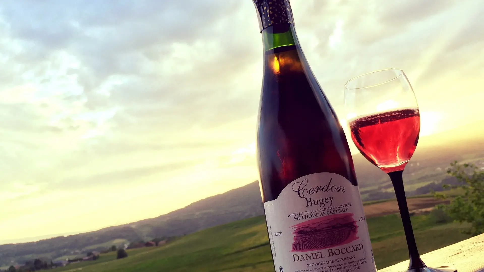 Domaine Viticole Daniel Boccard Propriétaire récoltant, Boyeux Saint Jérôme