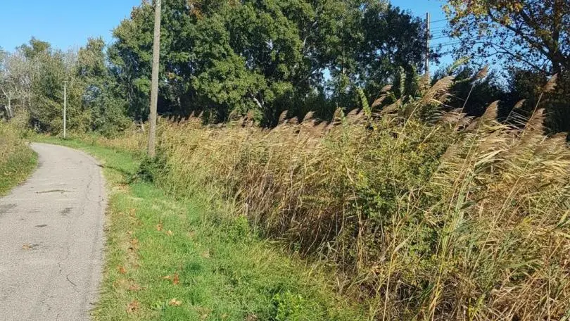 A vélo, dans les petits chemins agricoles en automne...