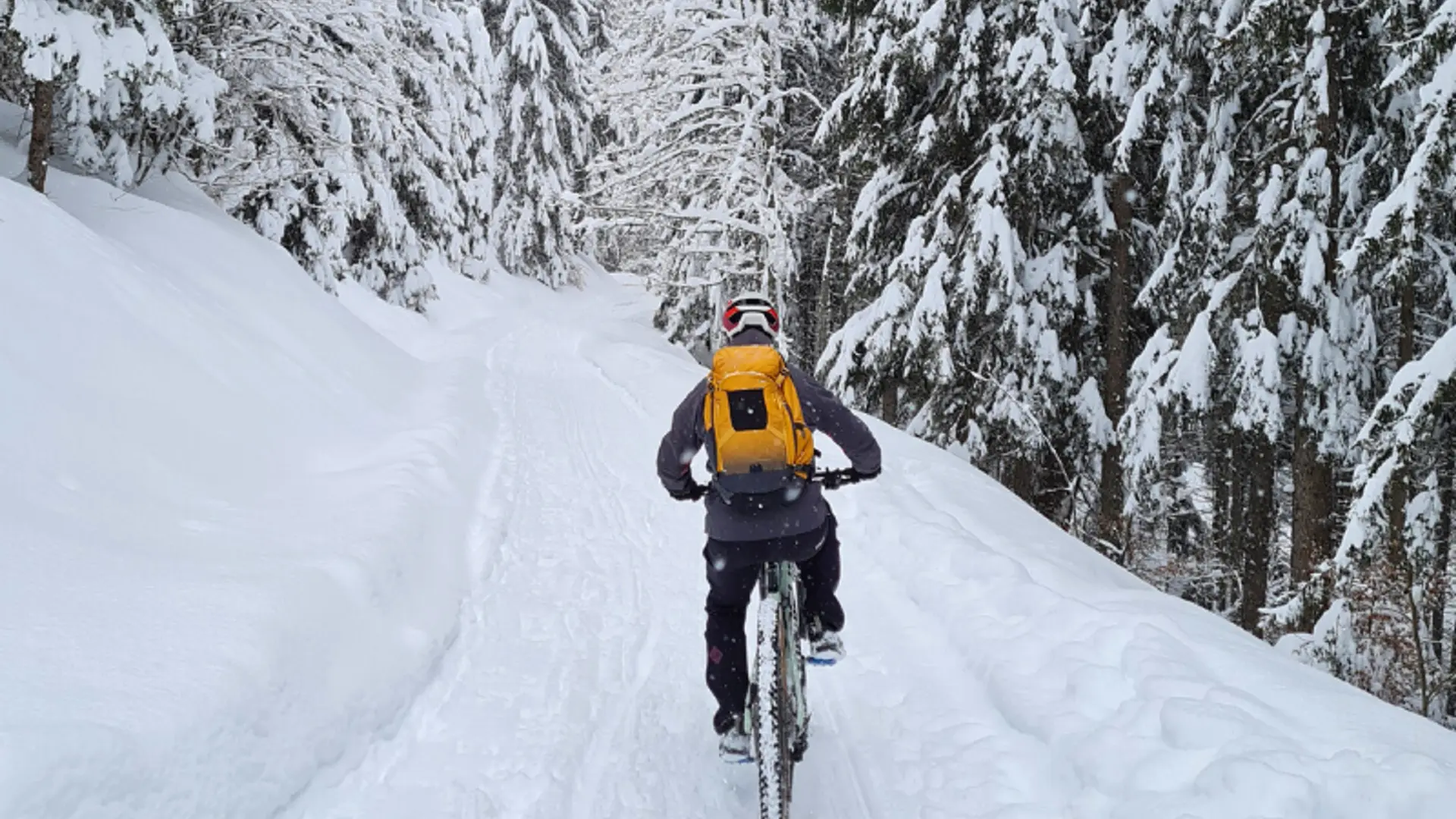 Noc'te-bike