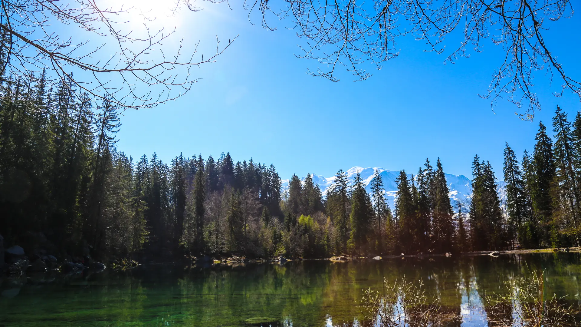 Lac vert