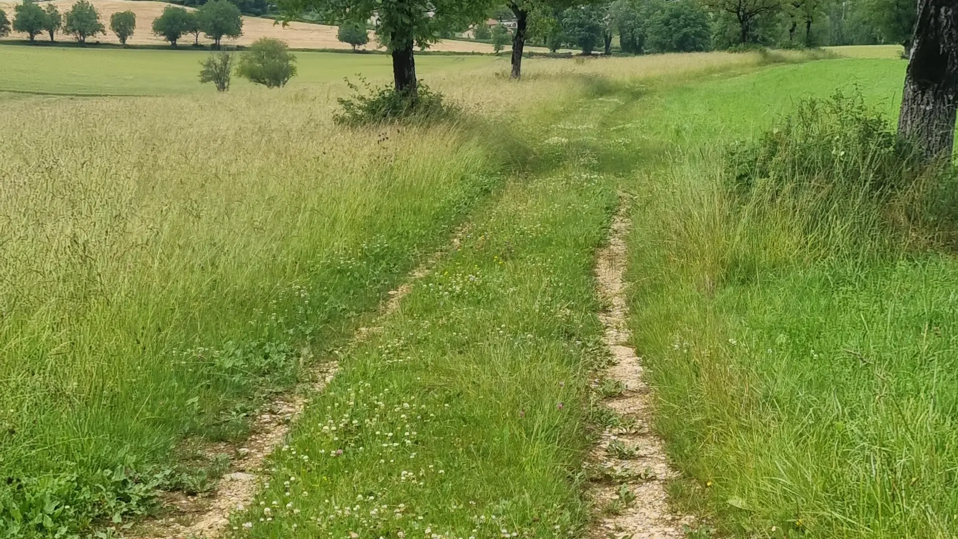 Liaison VTT (L2) Ceyzériat - Ile Chambod Gorges de l'Ain