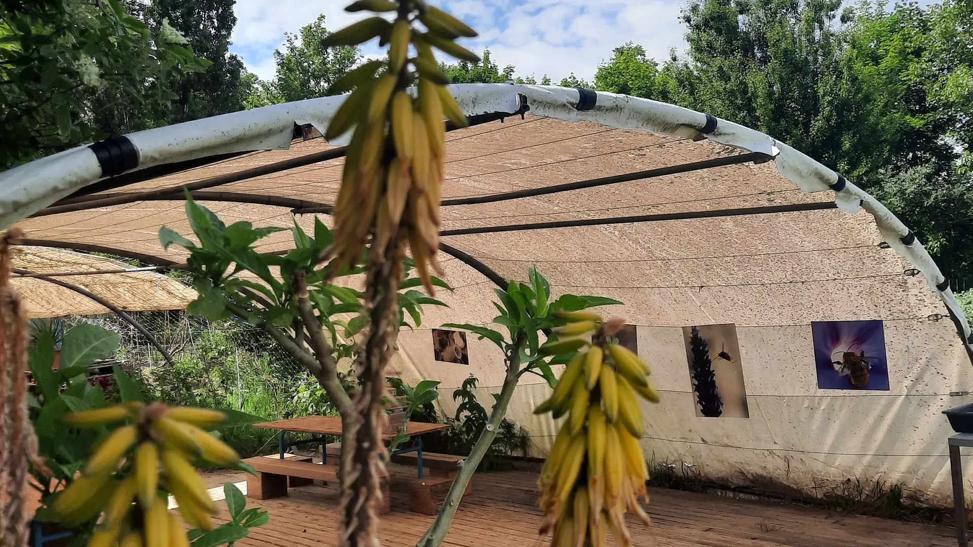 Croq'jardin la tente d'accueil