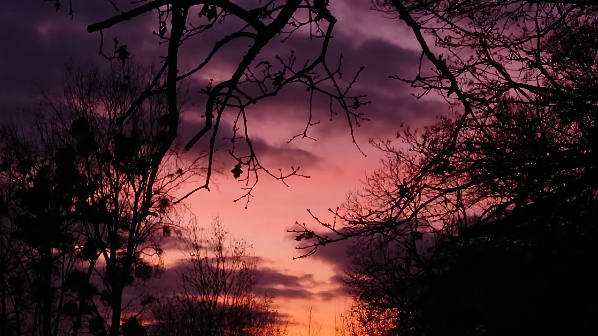 Merveilleuses lumières du soir
