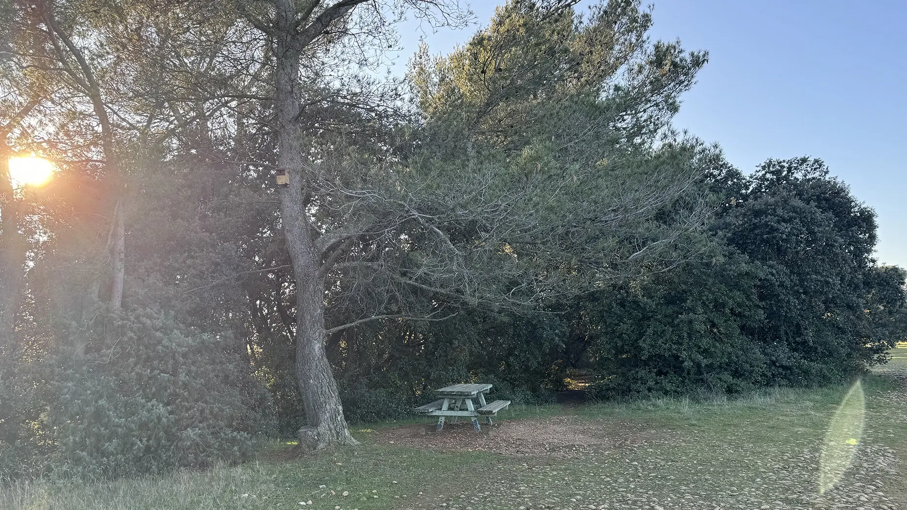 Plateau de la crau_Saint-Rémy-de-Provence