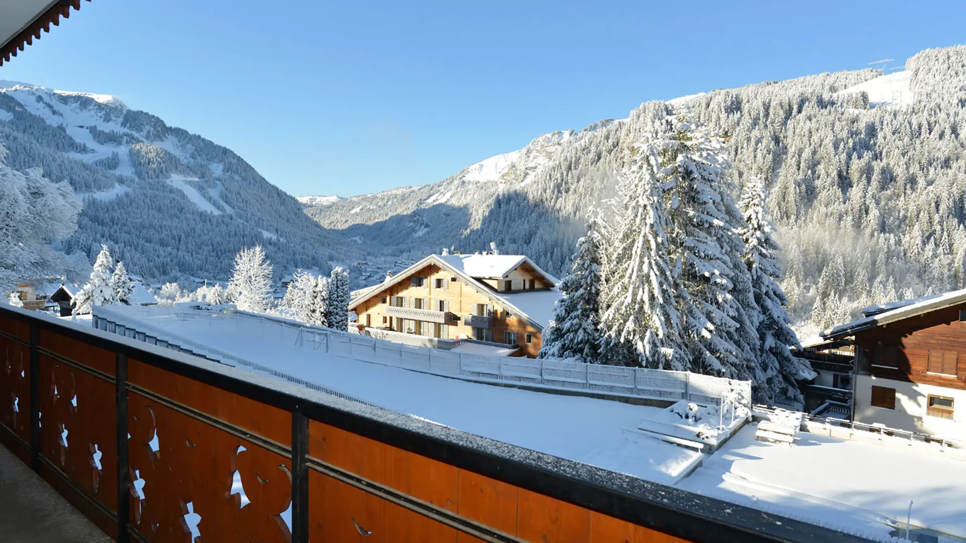 Vue hiver  - Epicéa n°2_Châtel