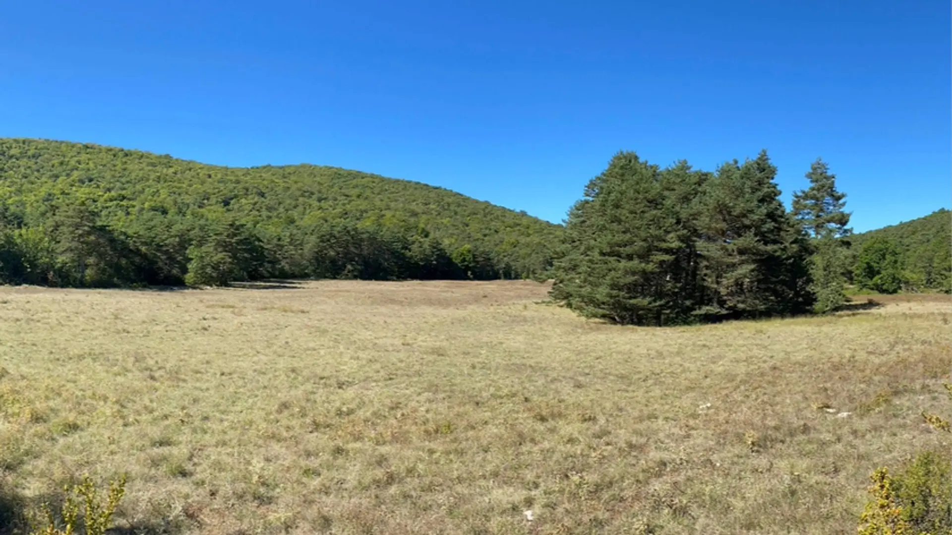Vue sur une doline entourée de végétation