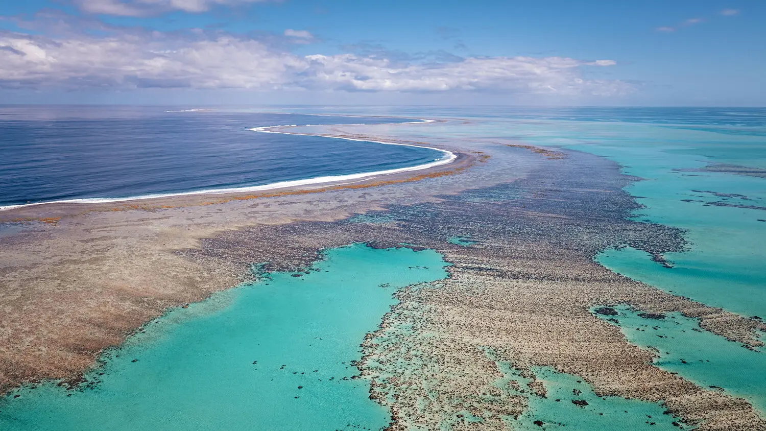 Hibisair - Flight above the coral reef