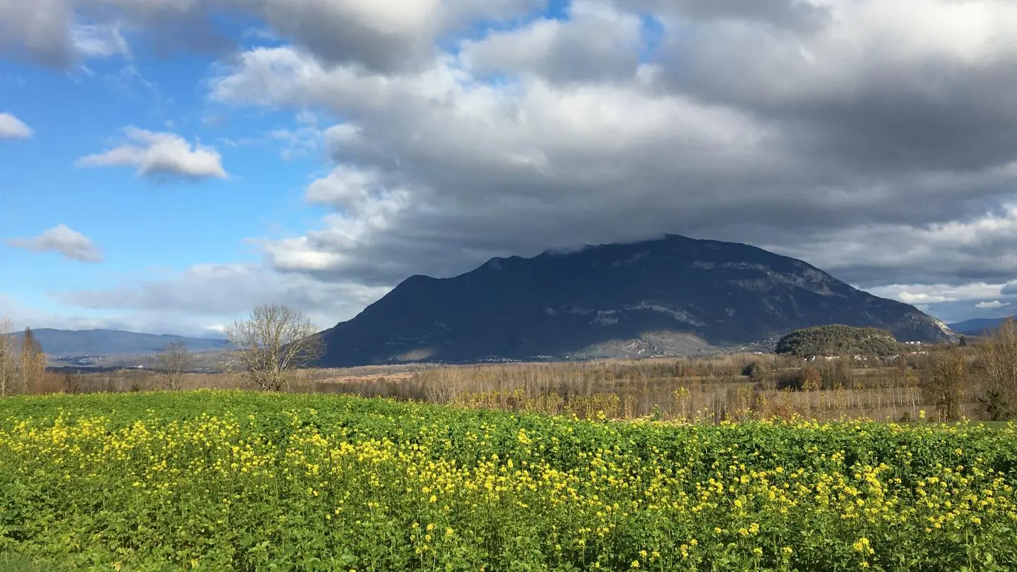 Le Grand Colombier