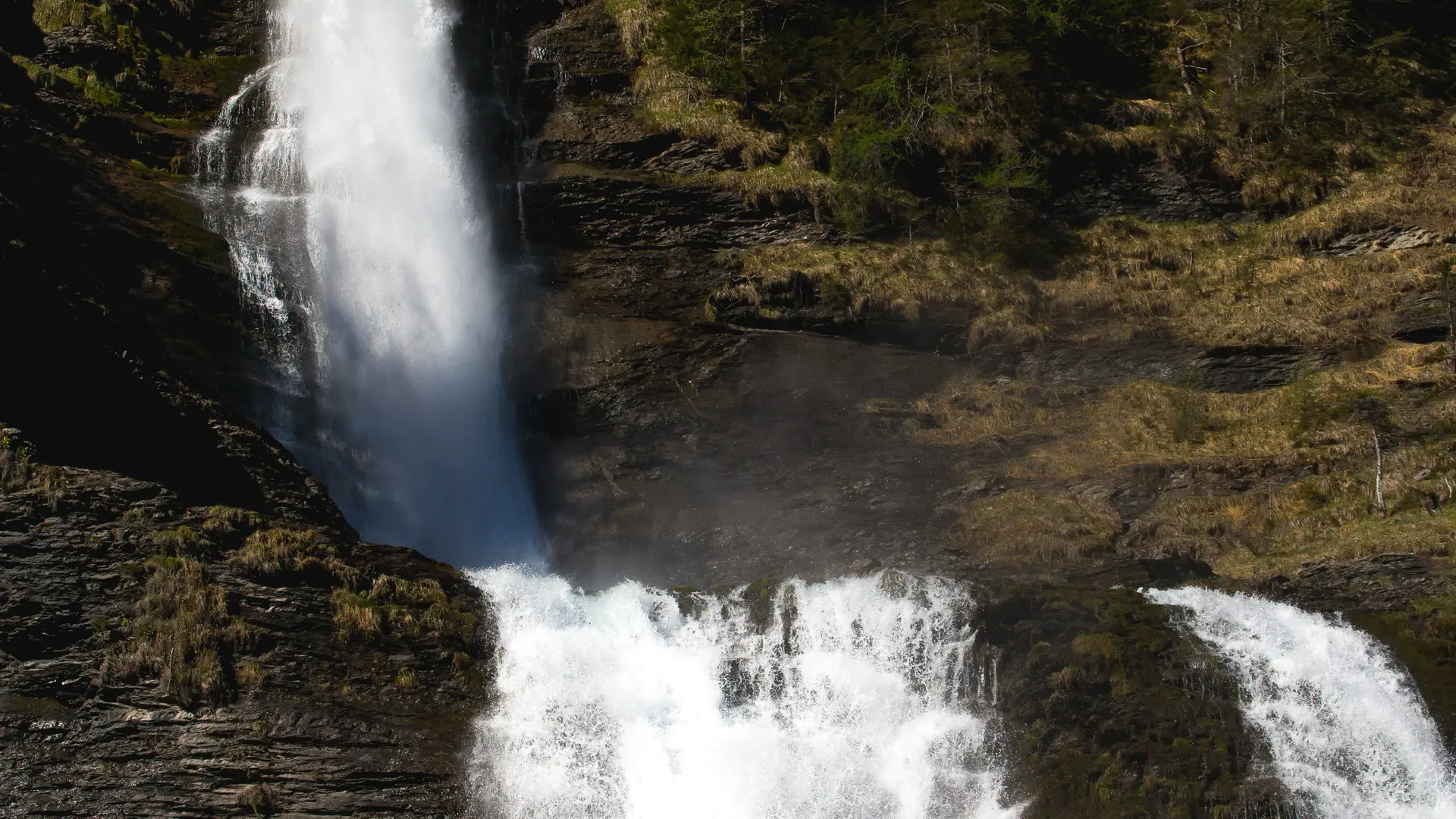 Hatha Yoga avec Orélia