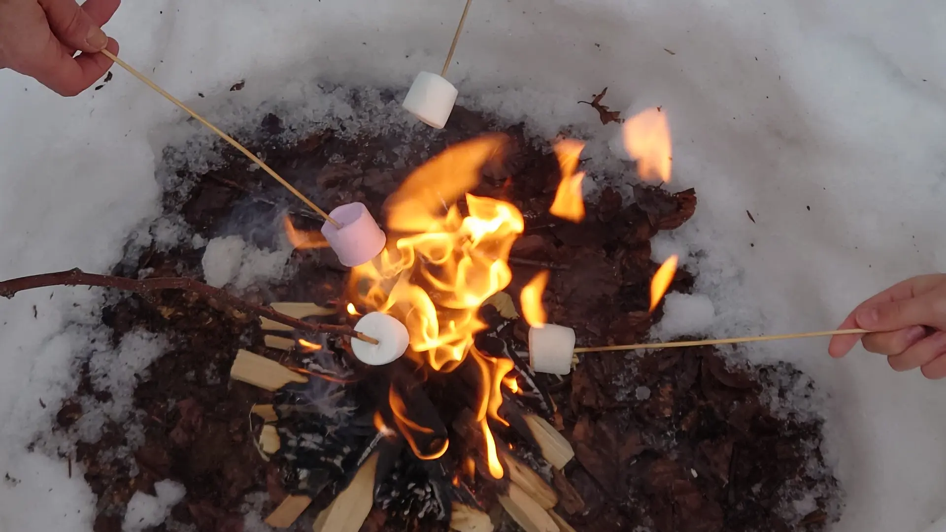 Balade raquettes famille Guimauves sur le feu